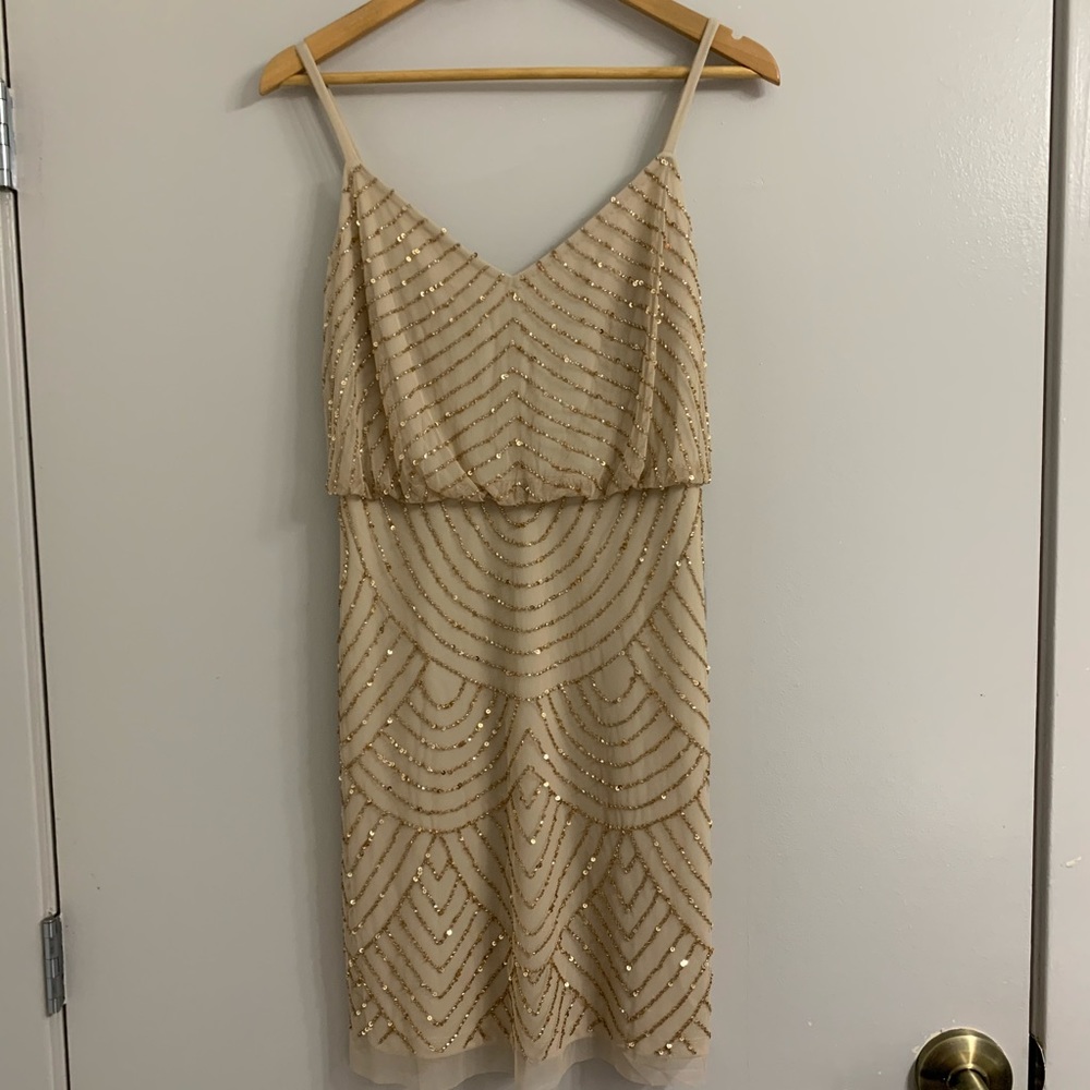 NWT Adrianna Papell Blouson Brad Dress Champagne